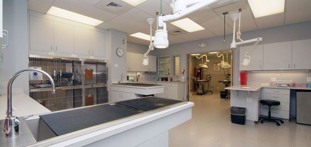 Roscoe Village Animal Hospital | Surgery Suite