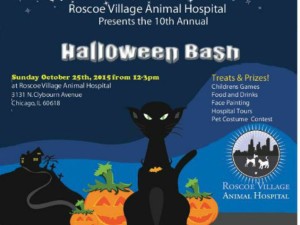 Final Halloween Bash 2015 Front Postcard-page-001