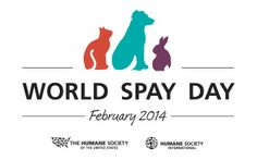 world spay day 2014